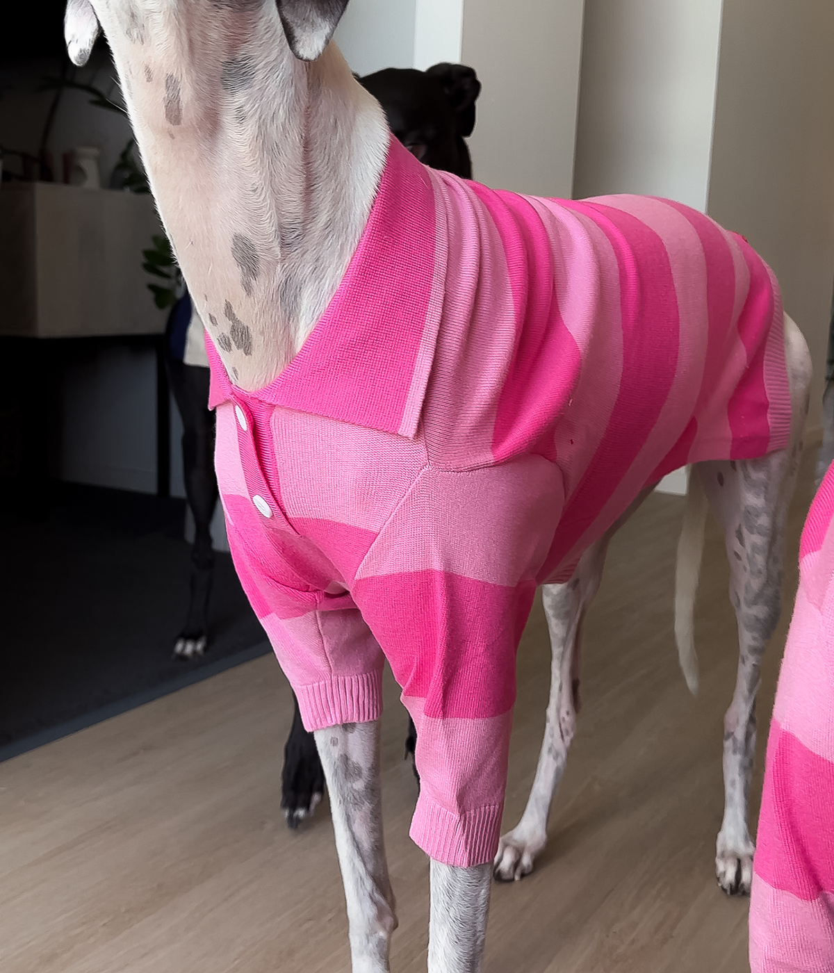 Elle Woods Pink Polo