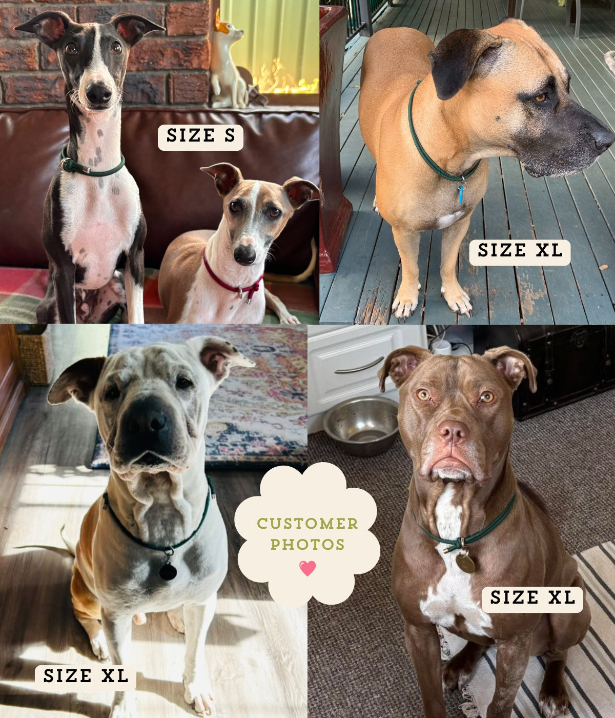 House Collar - Emerald