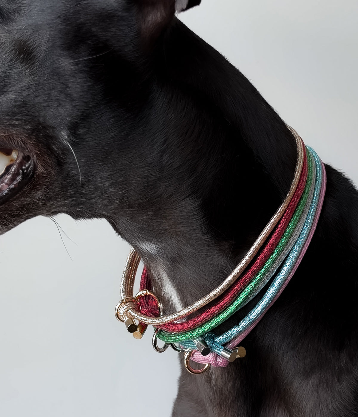 Glitter House Collar - Tinsel