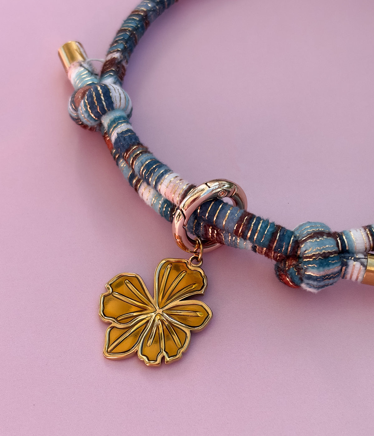 Hibiscus Charm