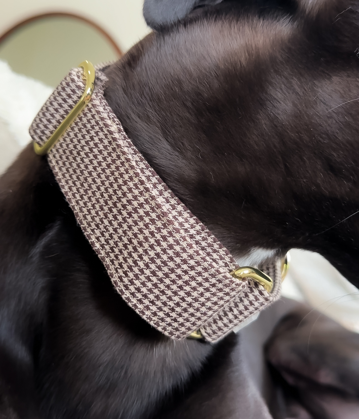 Martingale Collar - Hounddstooth