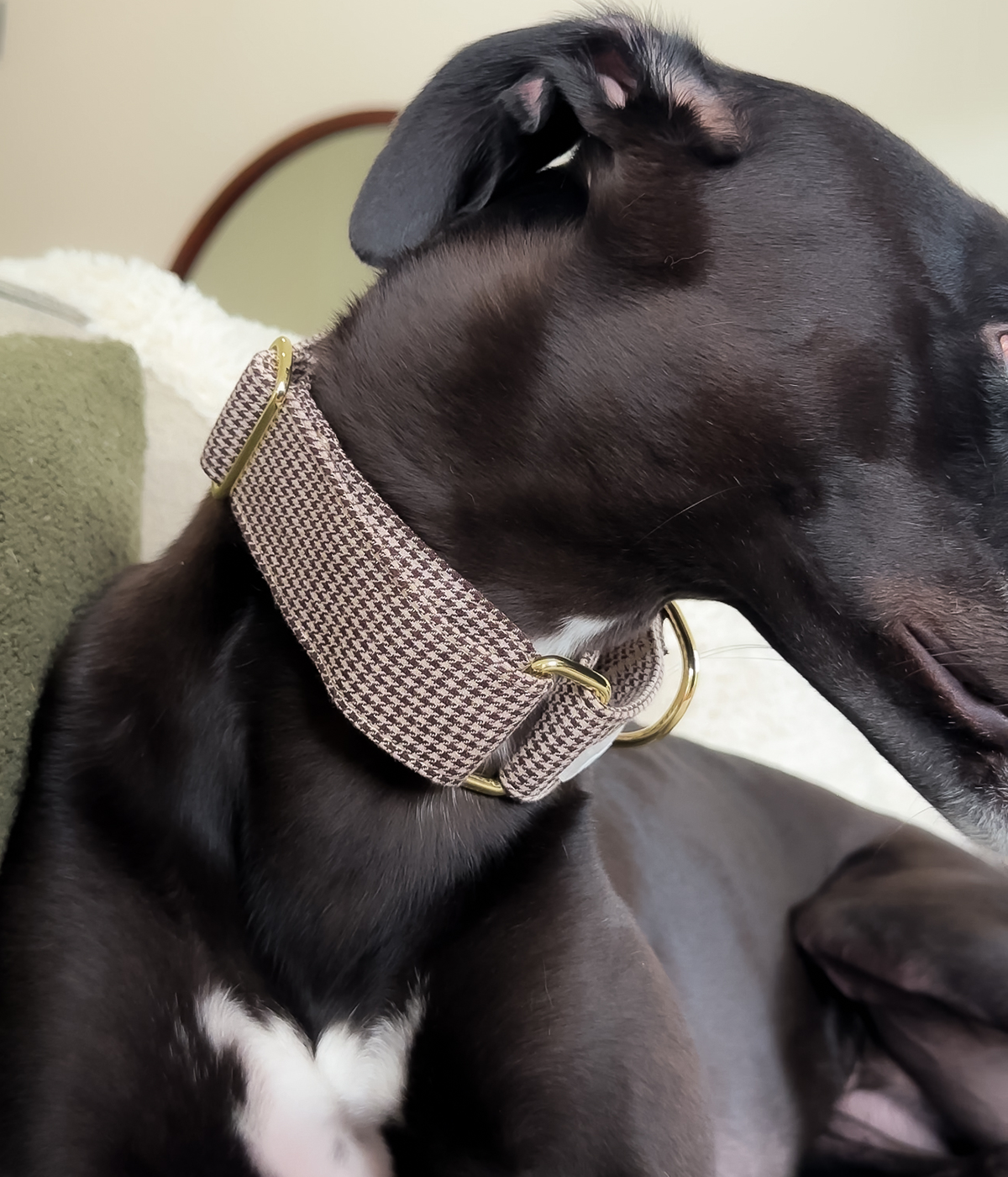 Martingale Collar - Hounddstooth