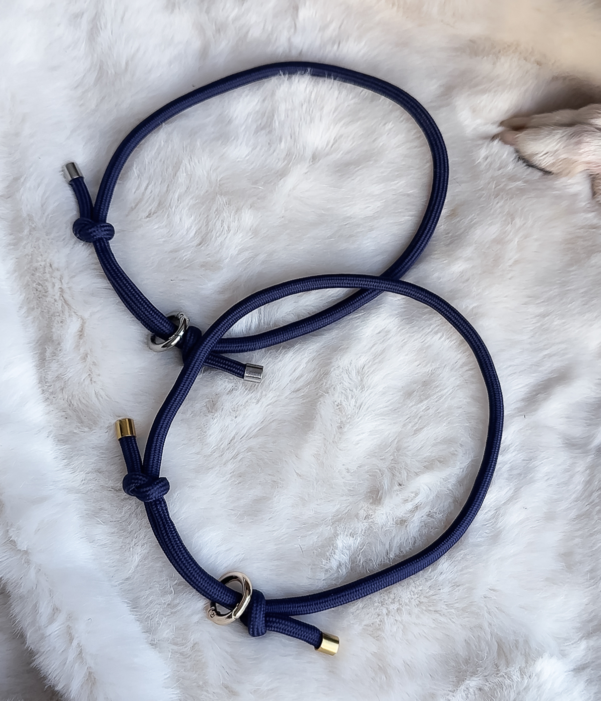House Collar - Navy