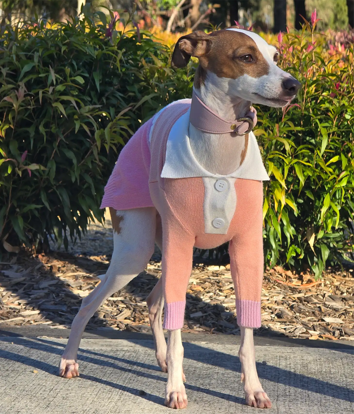 Polo Jersey - Peach Please