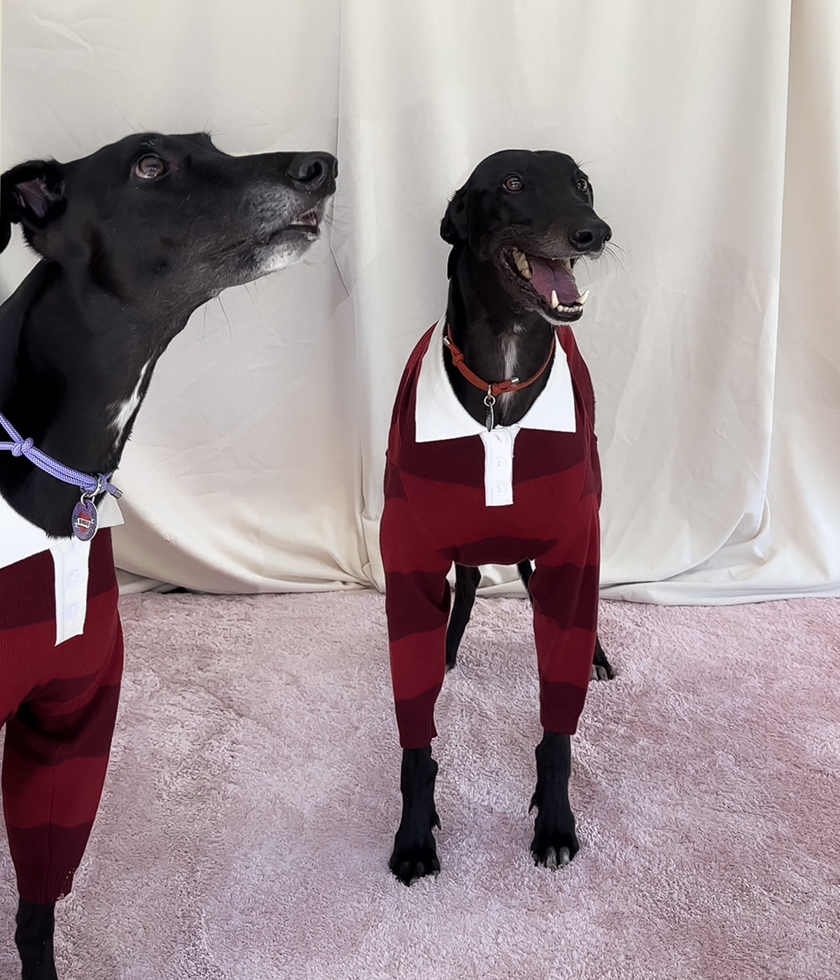 Maroons Polo