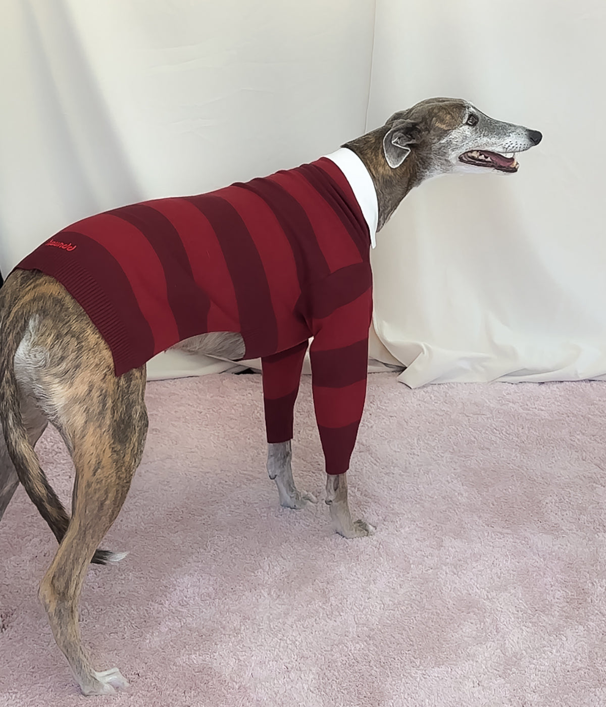 Maroons Polo