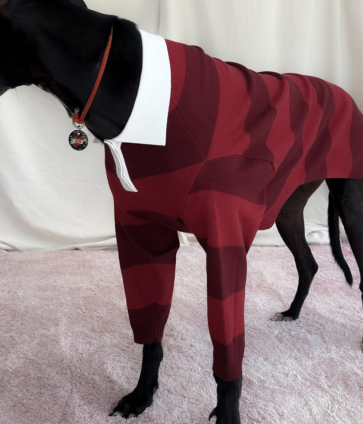 Maroons Polo