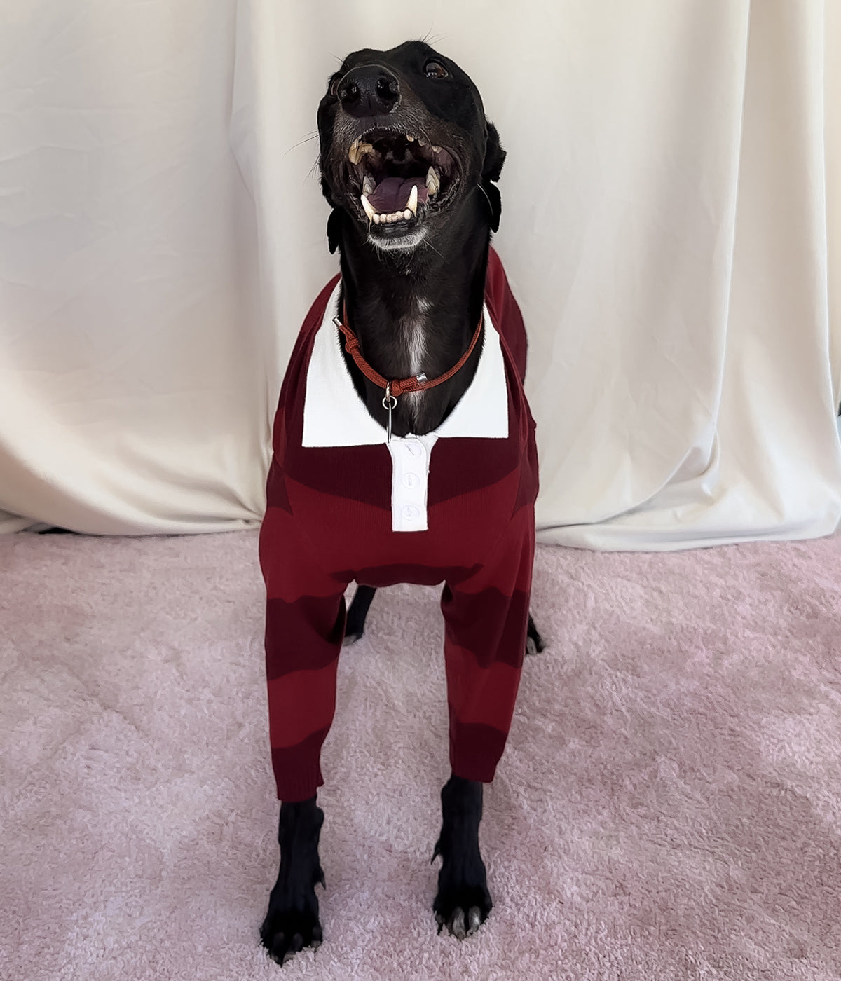 Maroons Polo