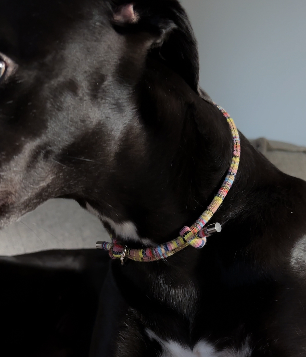 Boho House Collar - Meadow