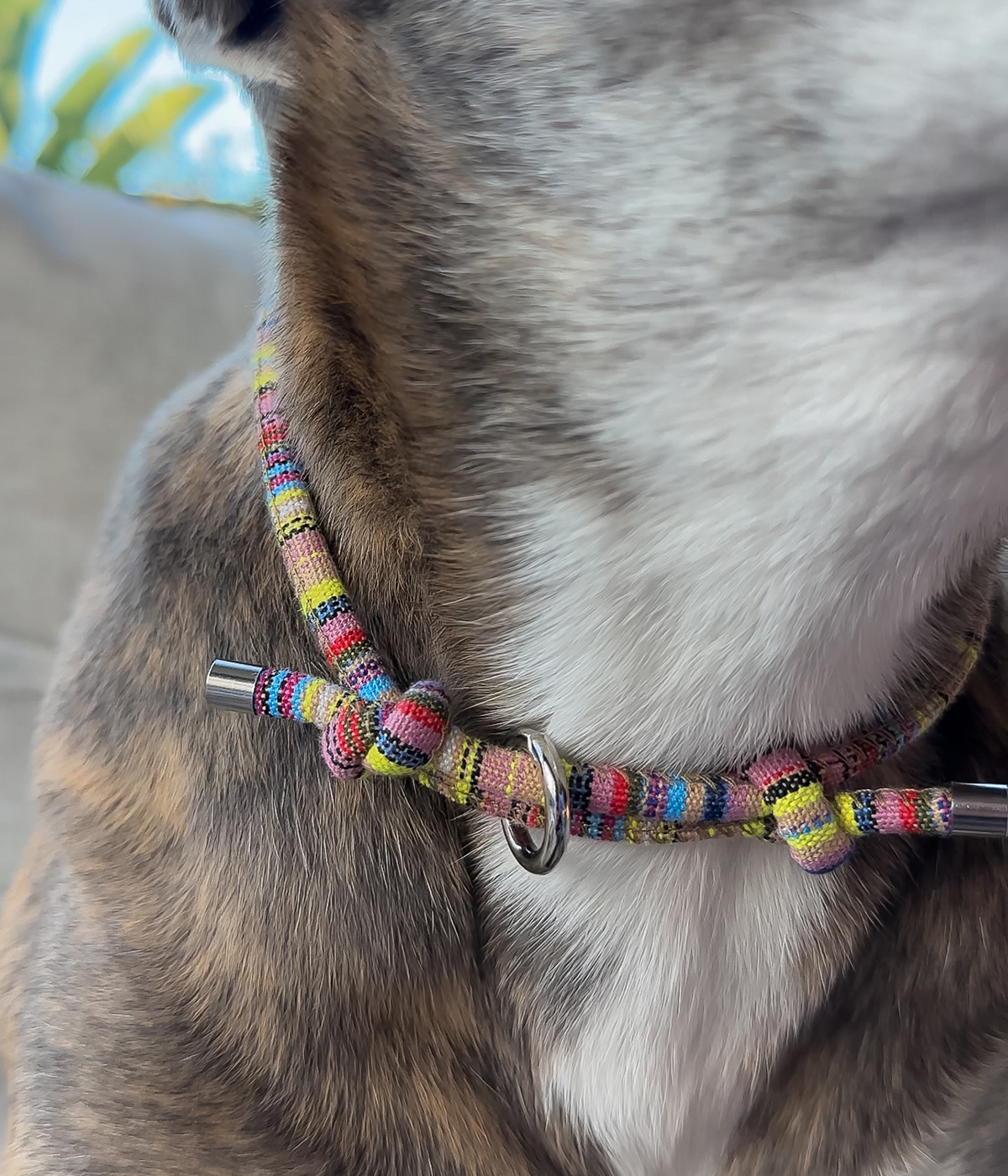 Boho House Collar - Meadow