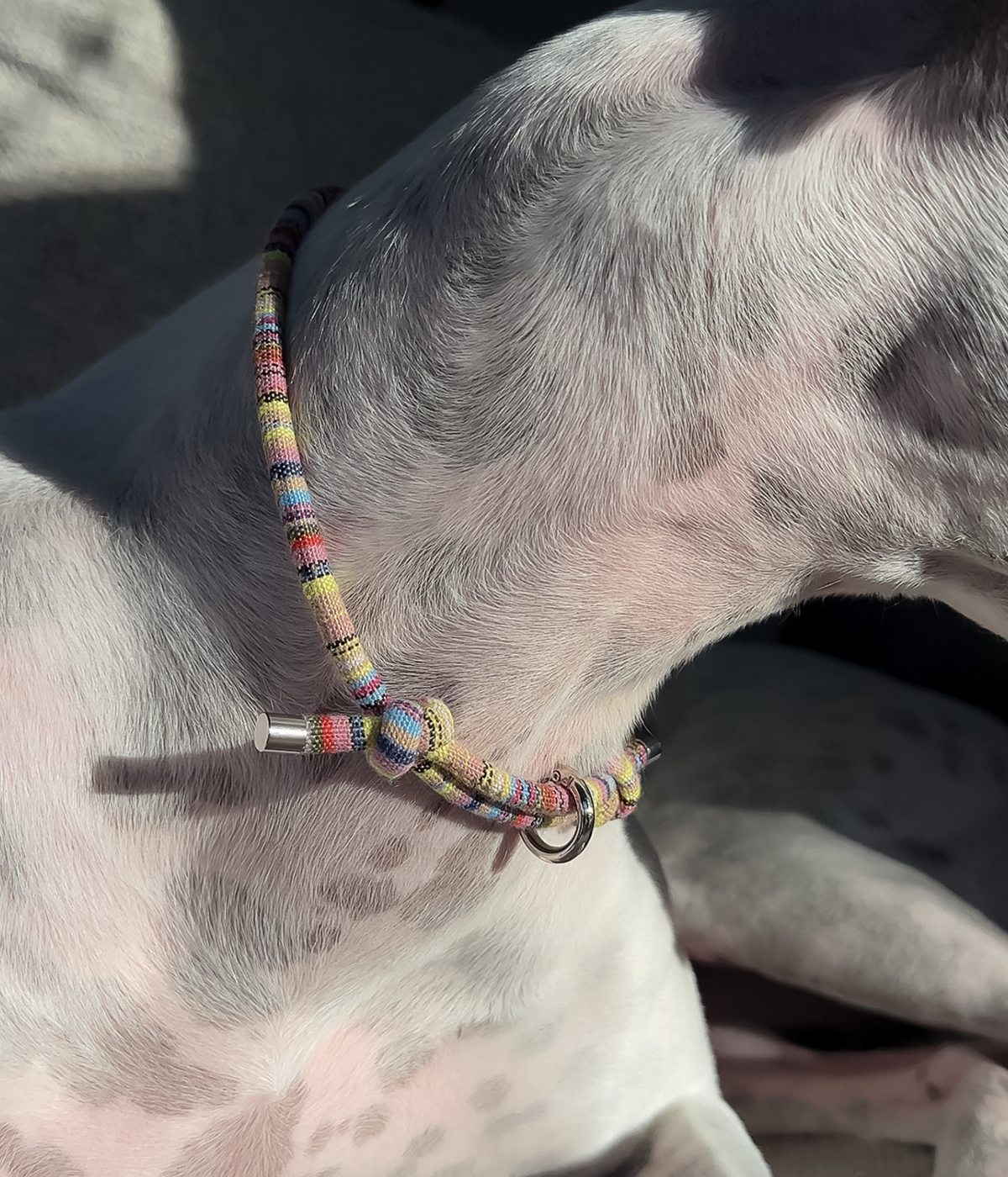 Boho House Collar - Meadow