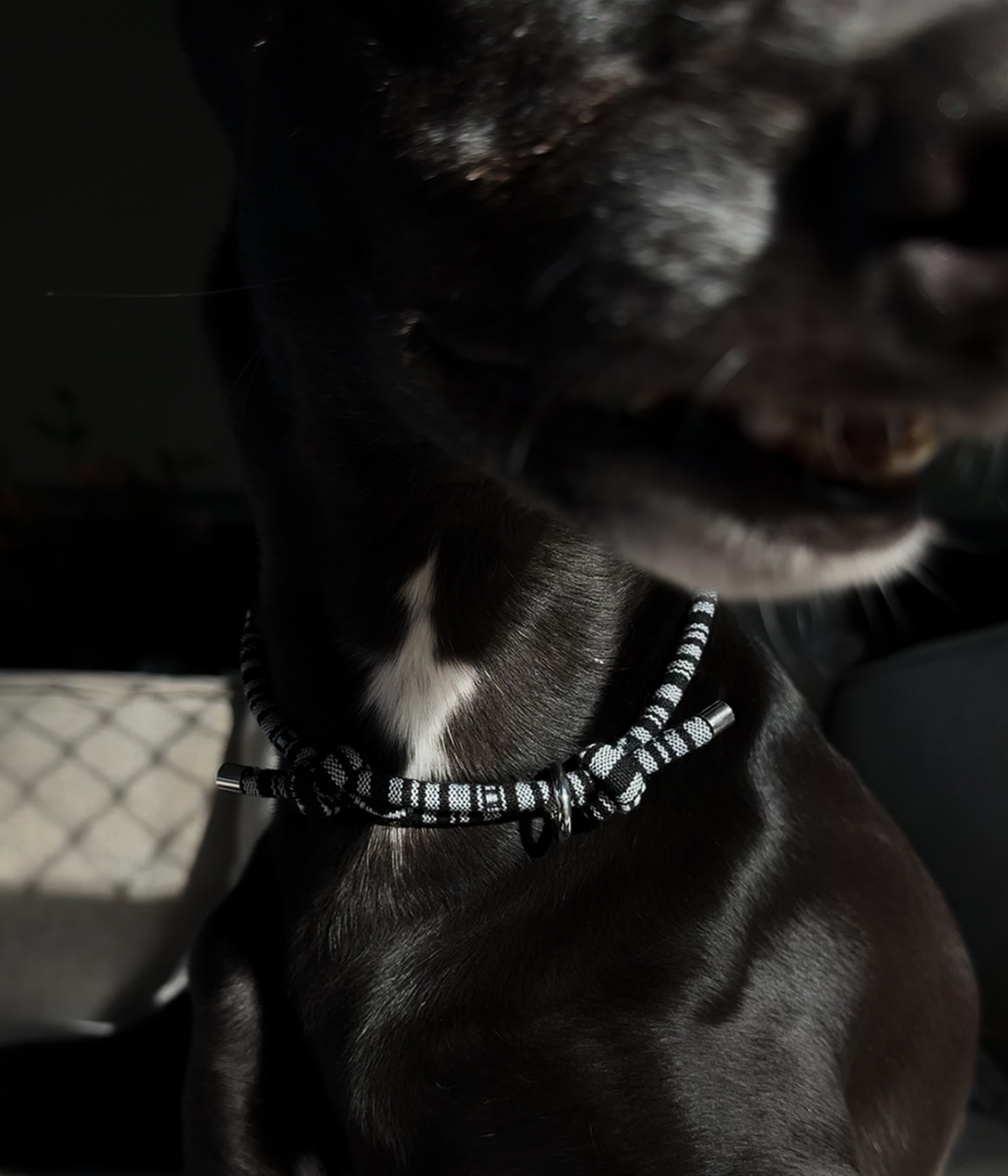 Boho House Collar - Midnight