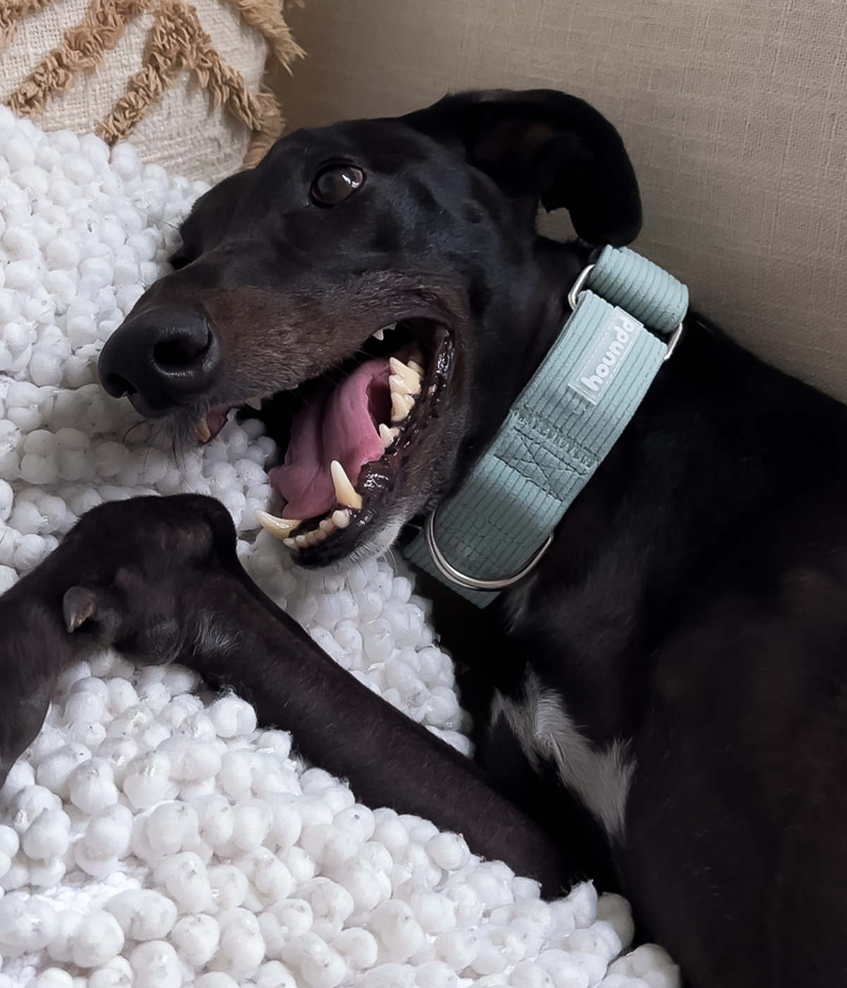 Martingale Collar - Corduroy