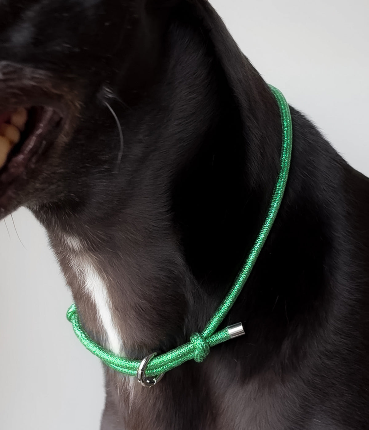 Glitter House Collar - Mistletoe