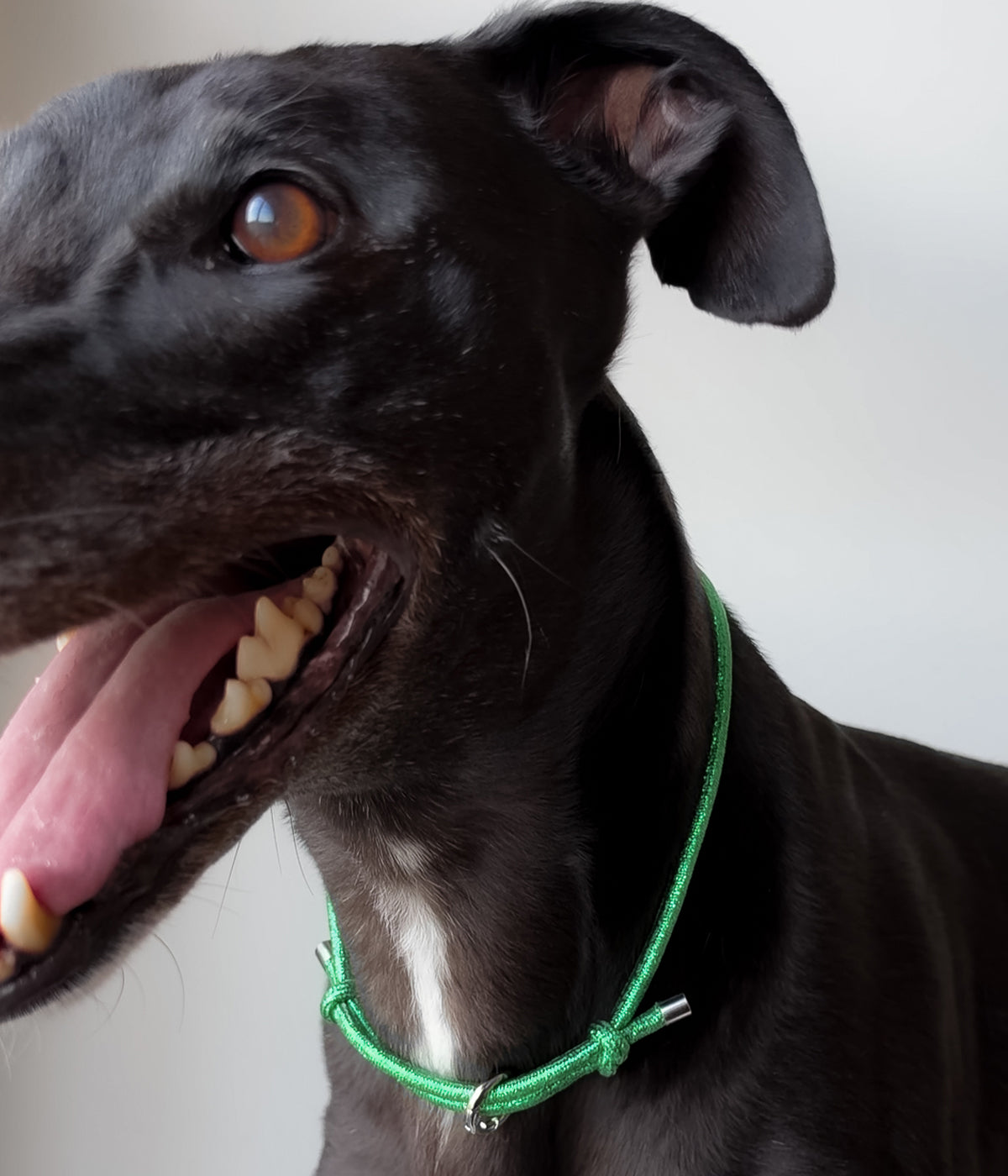 Glitter House Collar - Mistletoe