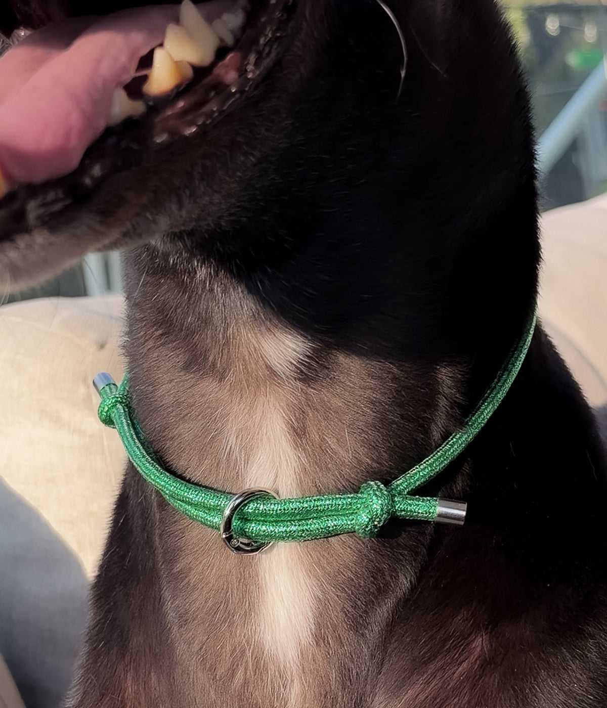 Glitter House Collar - Mistletoe