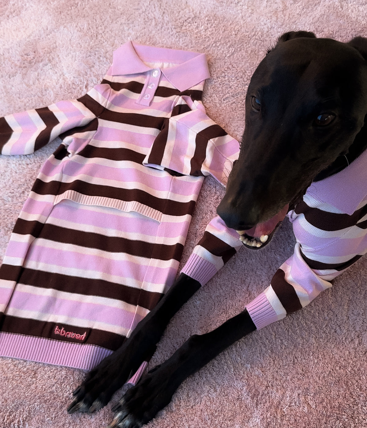 Neapolitan Polo - PREORDER