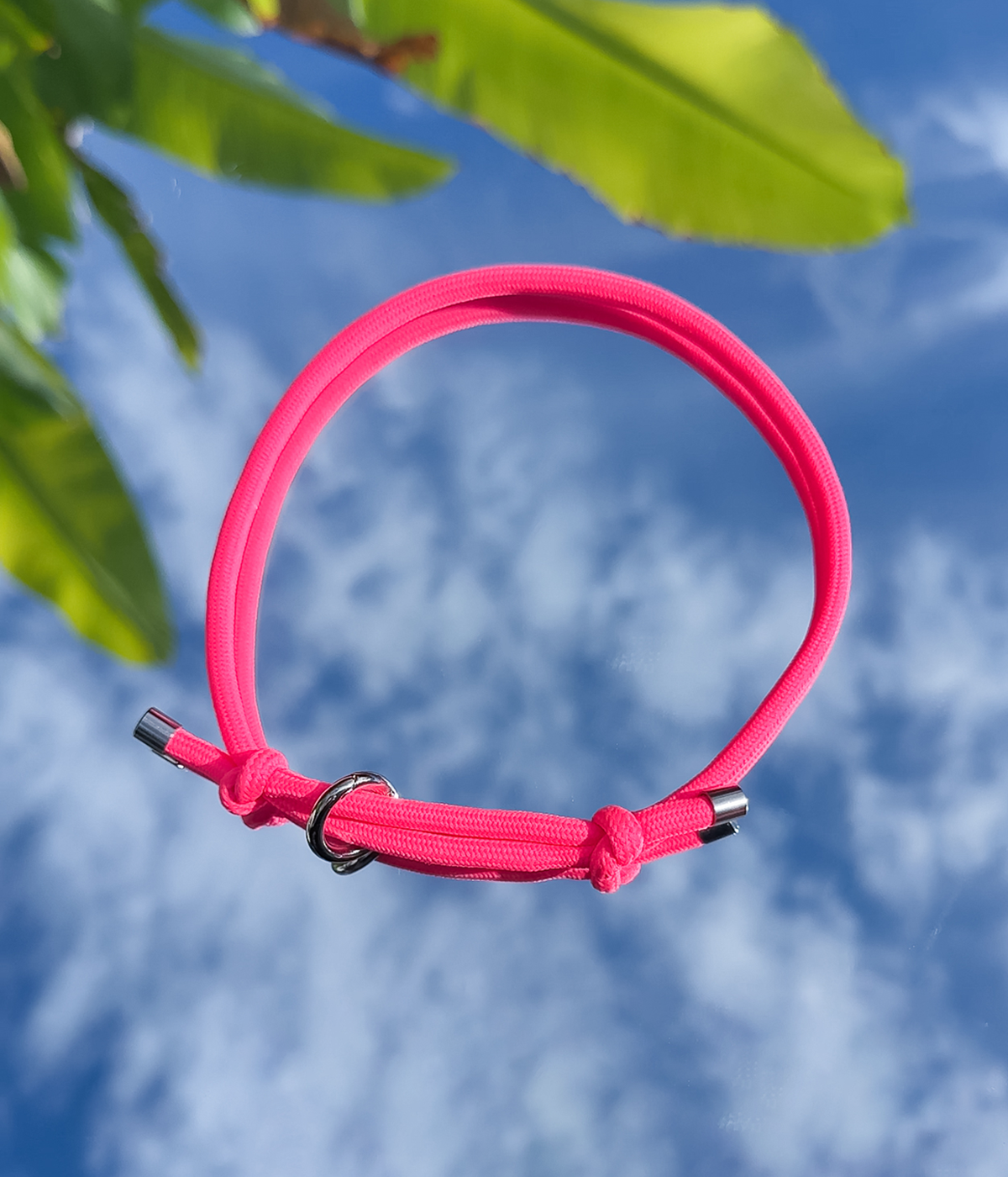 House Collar - Neon Pink