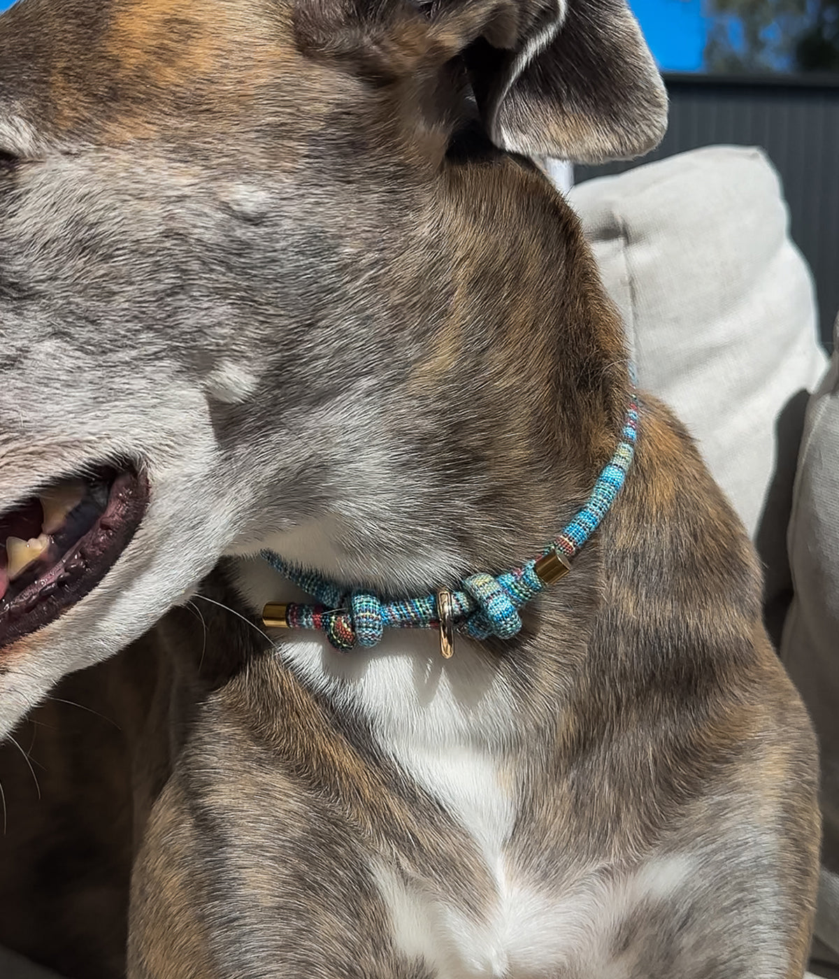 Boho House Collar - Ocean