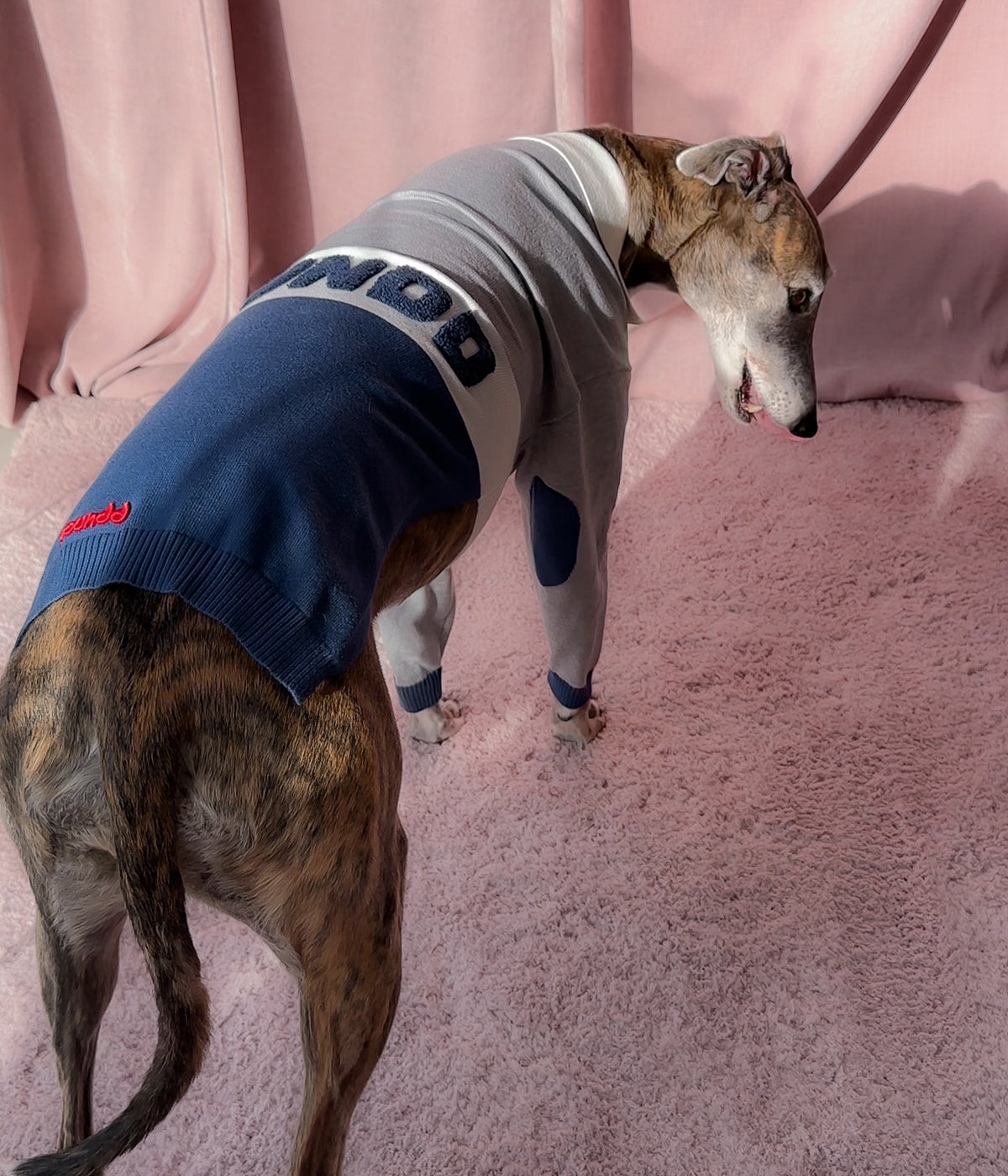 Off Campus Polo