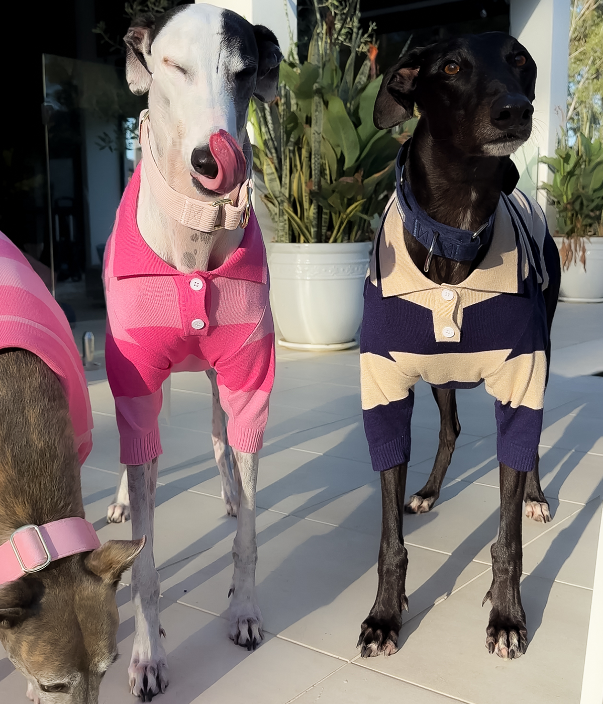 Polo Shirt - Old Money Navy