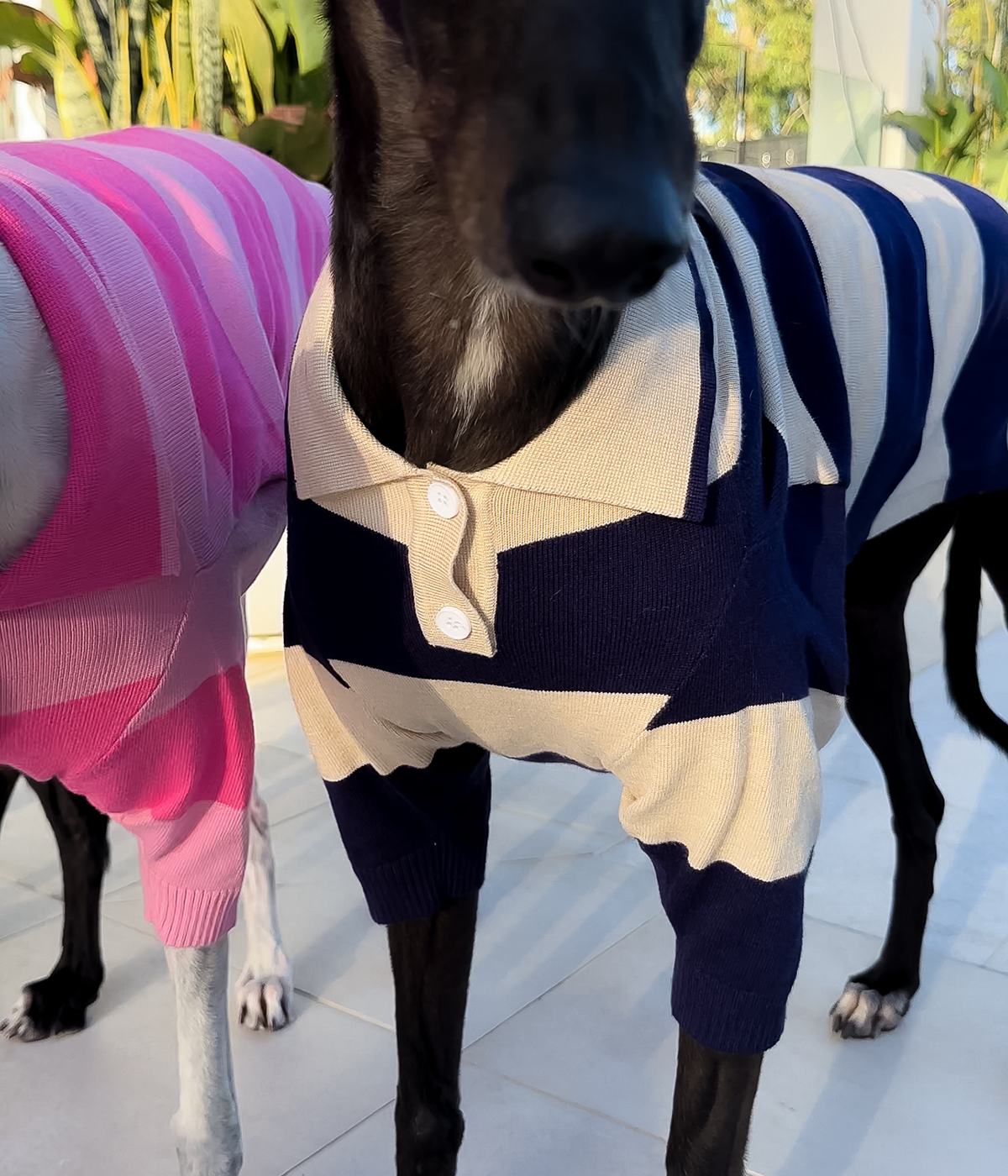 Polo Shirt - Old Money Navy