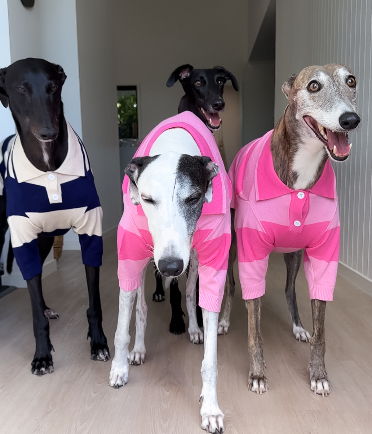 Polo Shirt - Old Money Navy