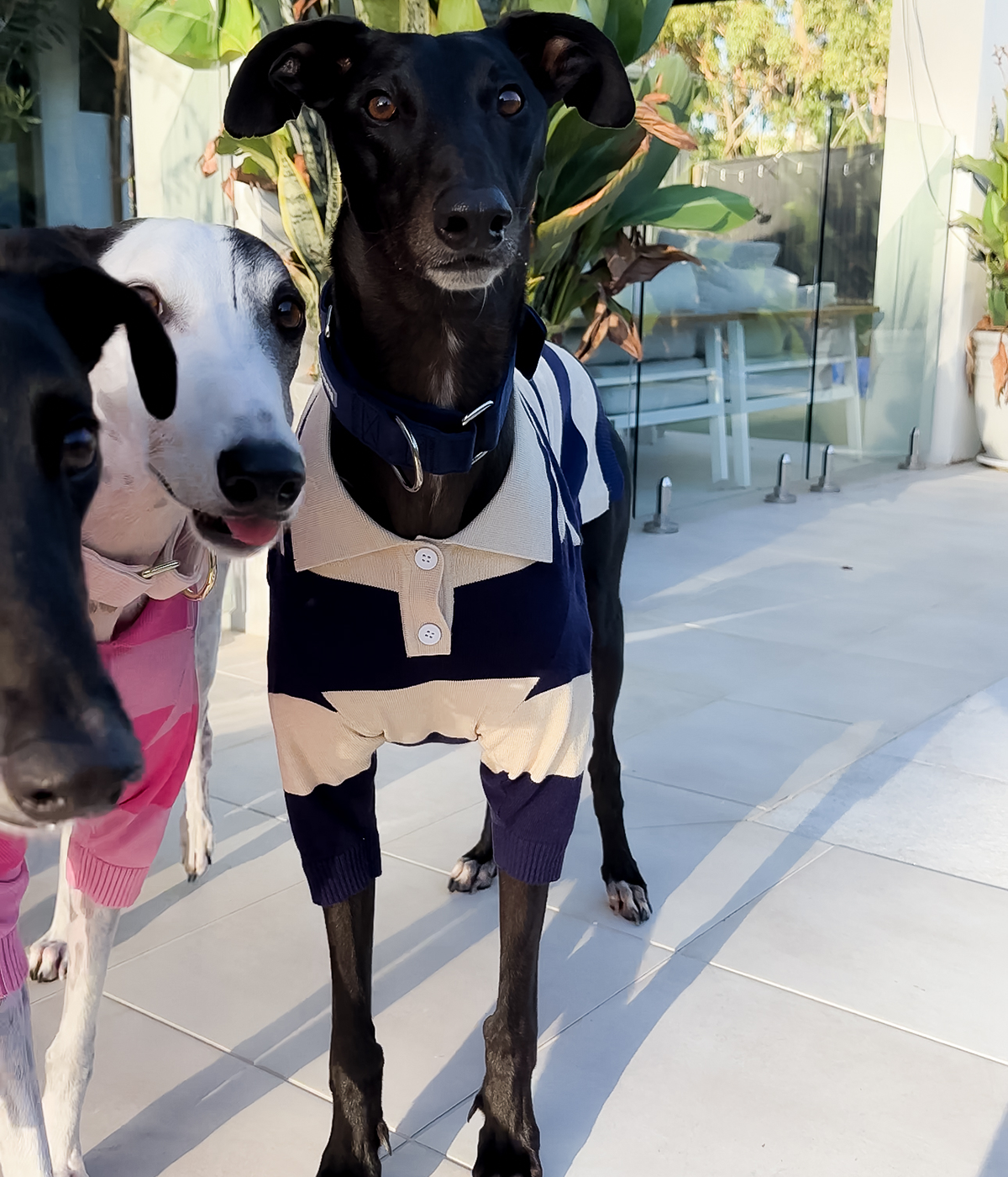 Polo Shirt - Old Money Navy