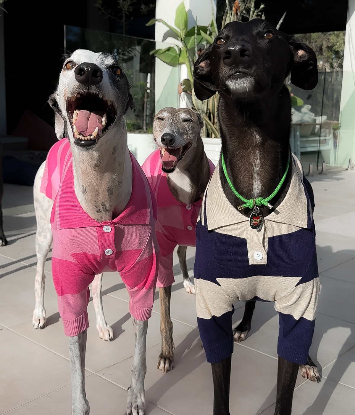 Polo Shirt - Old Money Navy