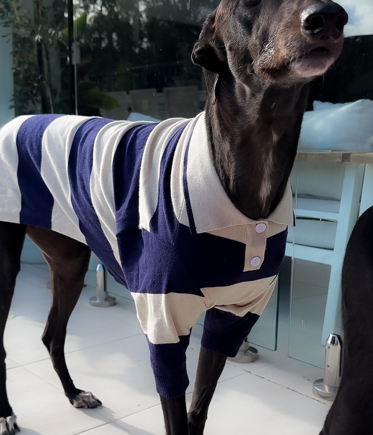 Polo Shirt - Old Money Navy