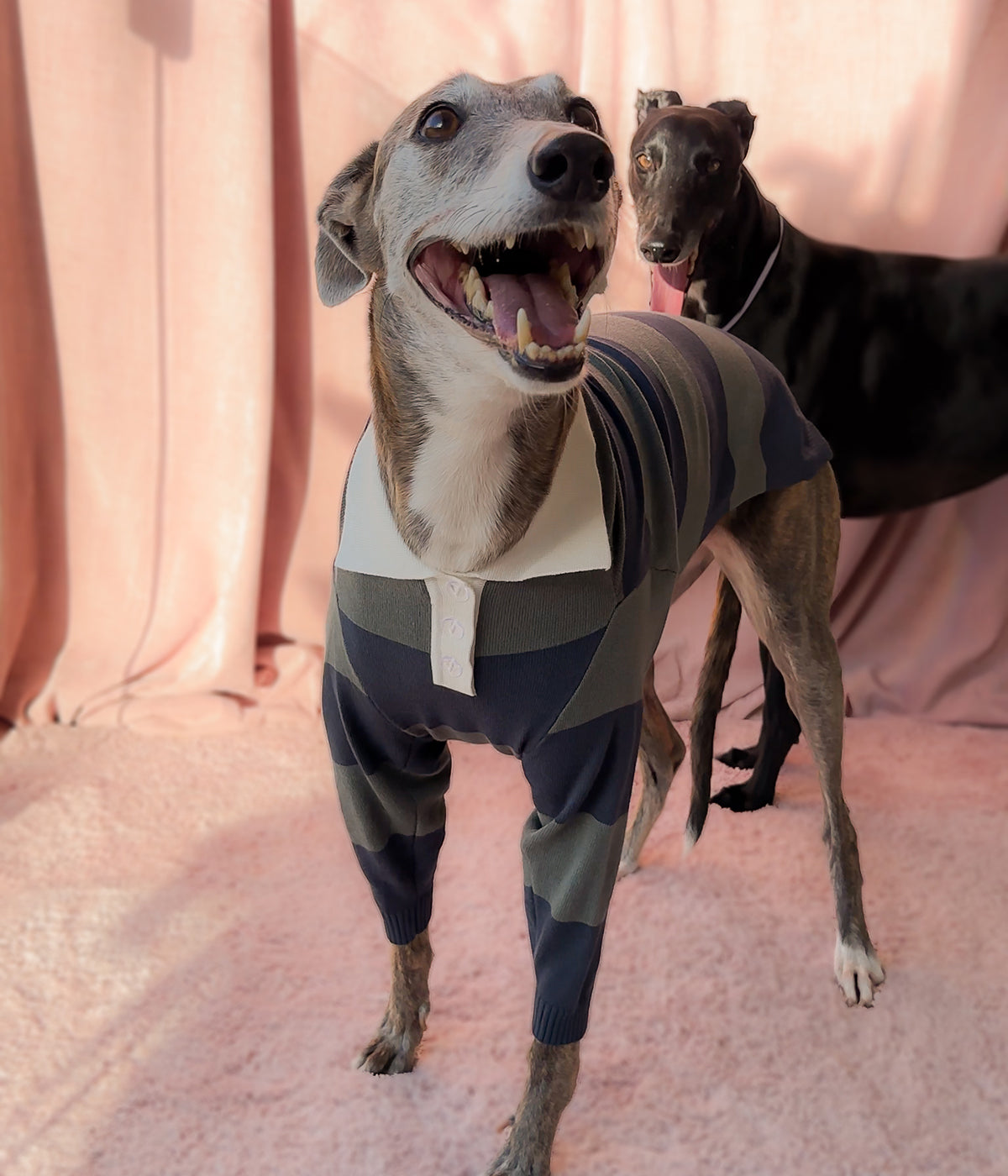 Onslow Polo