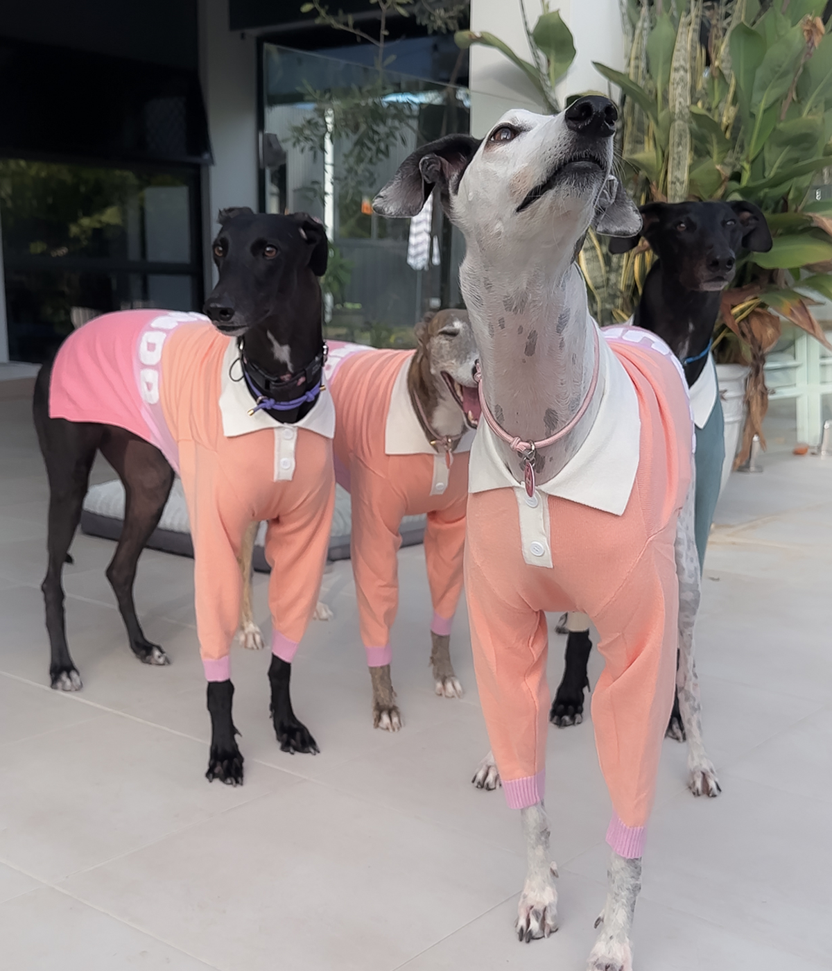 Peach Please Polo
