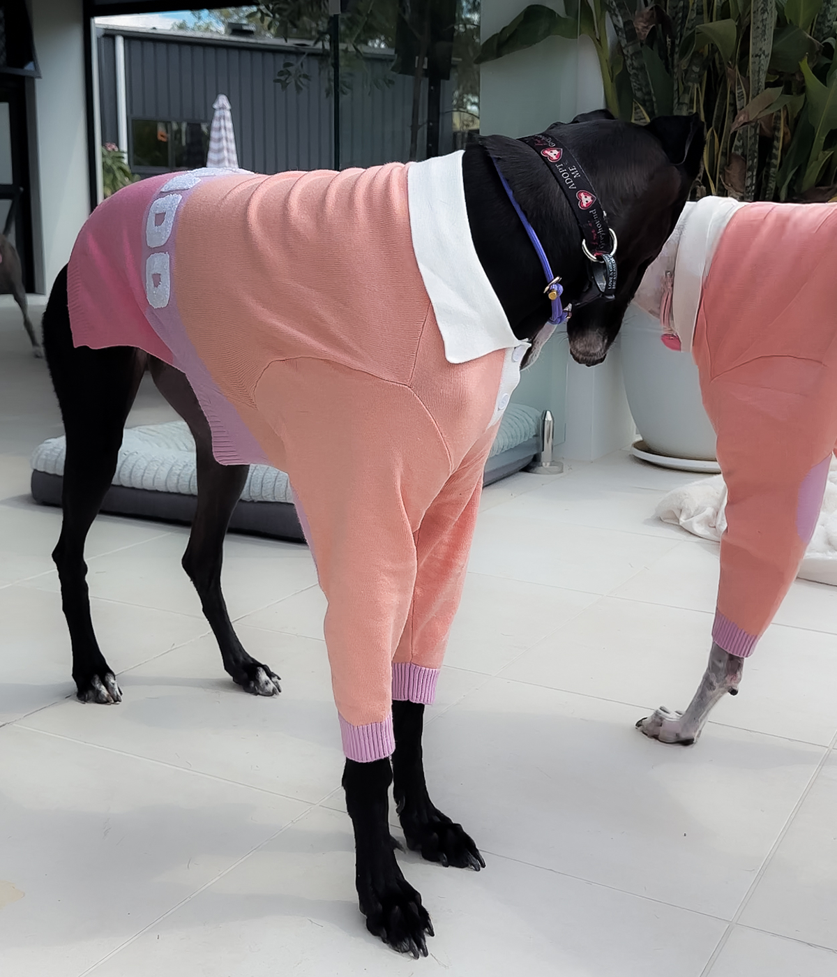 Peach Please Polo