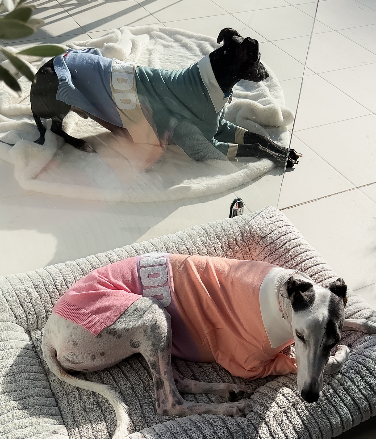 Peach Please Polo