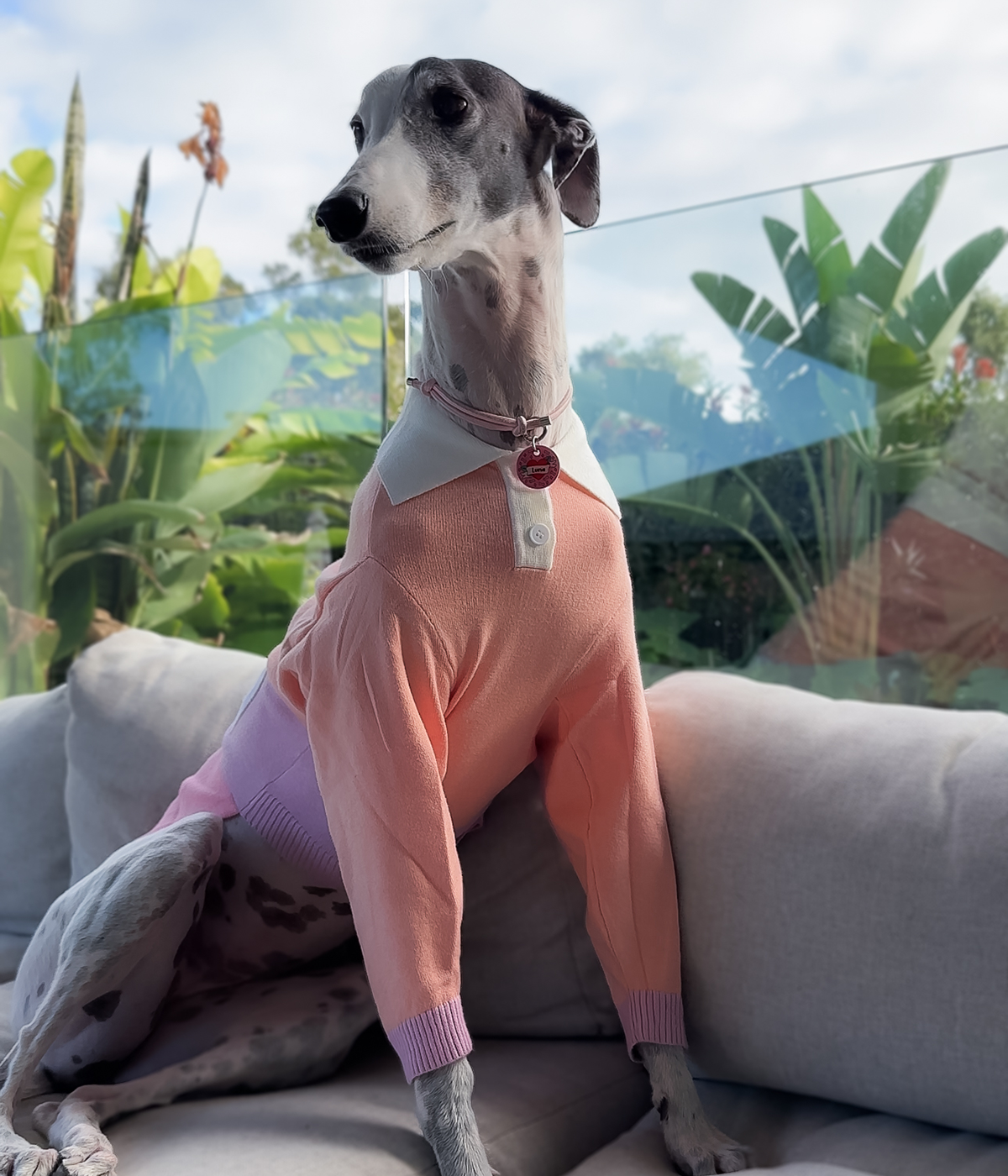 Peach Please Polo