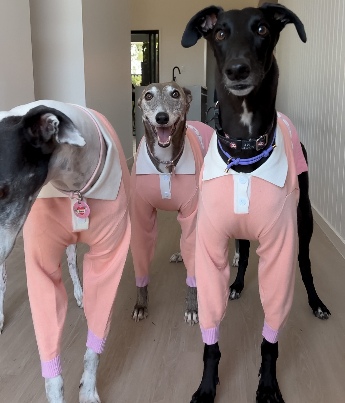 Peach Please Polo