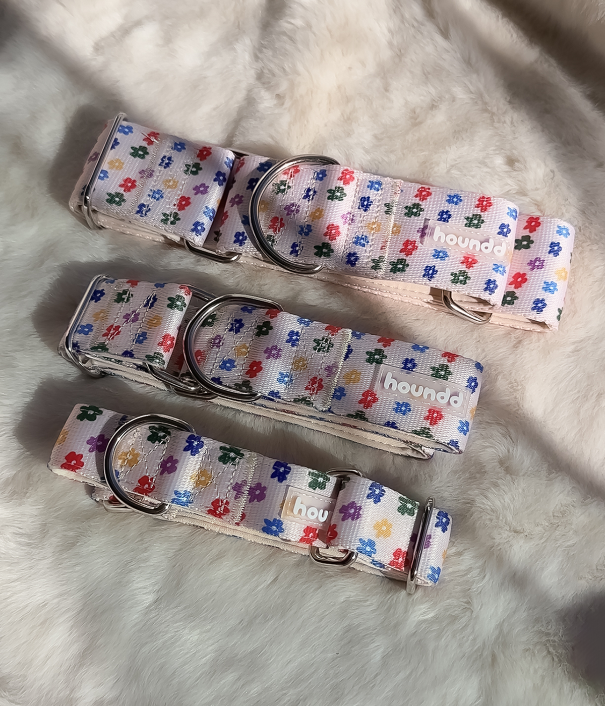 Martingale Collar - Petal Party