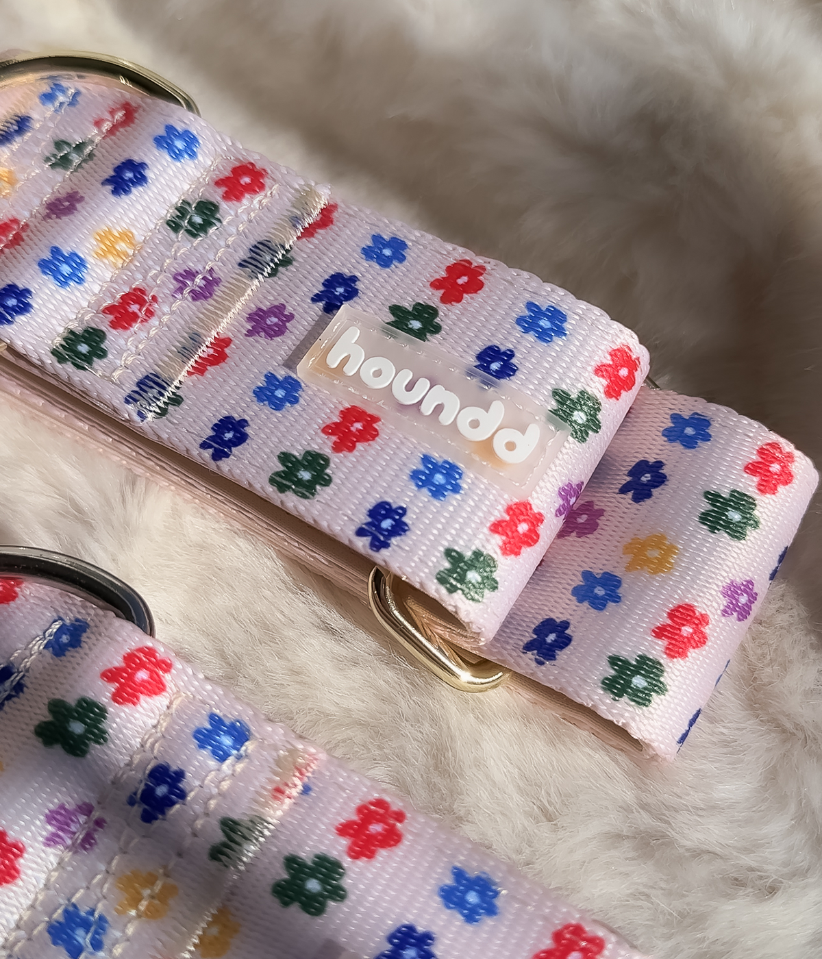 Martingale Collar - Petal Party