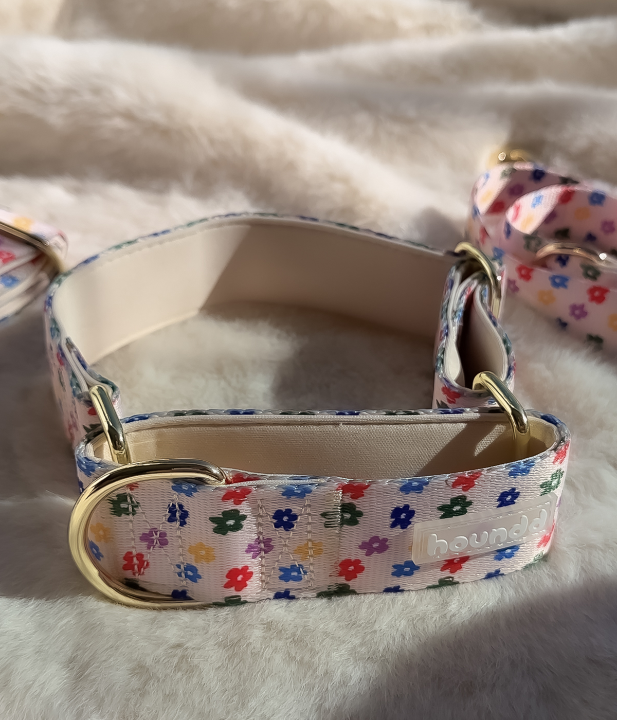 Martingale Collar - Petal Party