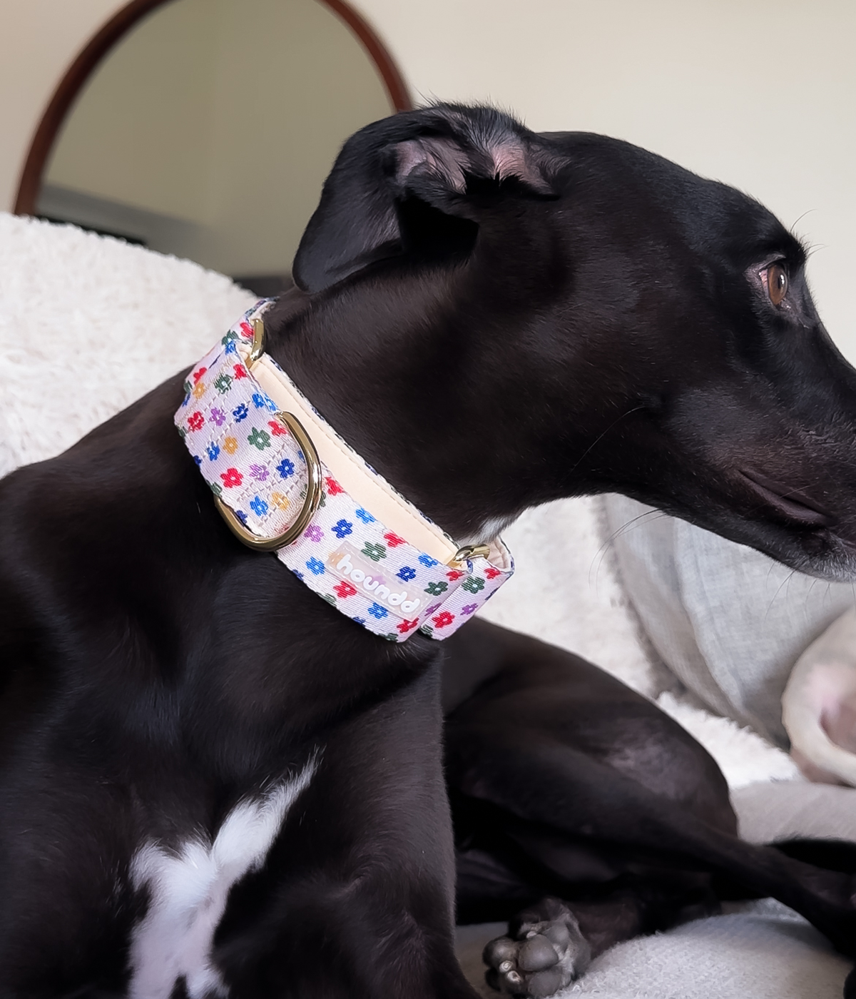 Martingale Collar - Petal Party