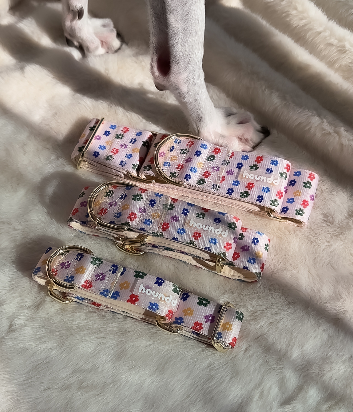 Martingale Collar - Petal Party