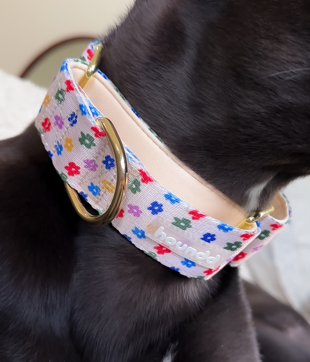 Martingale Collar - Petal Party