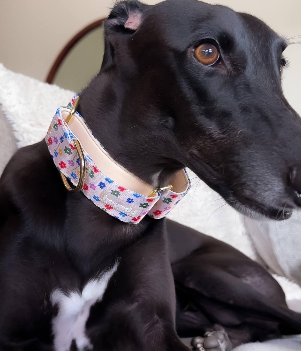 Martingale Collar - Petal Party