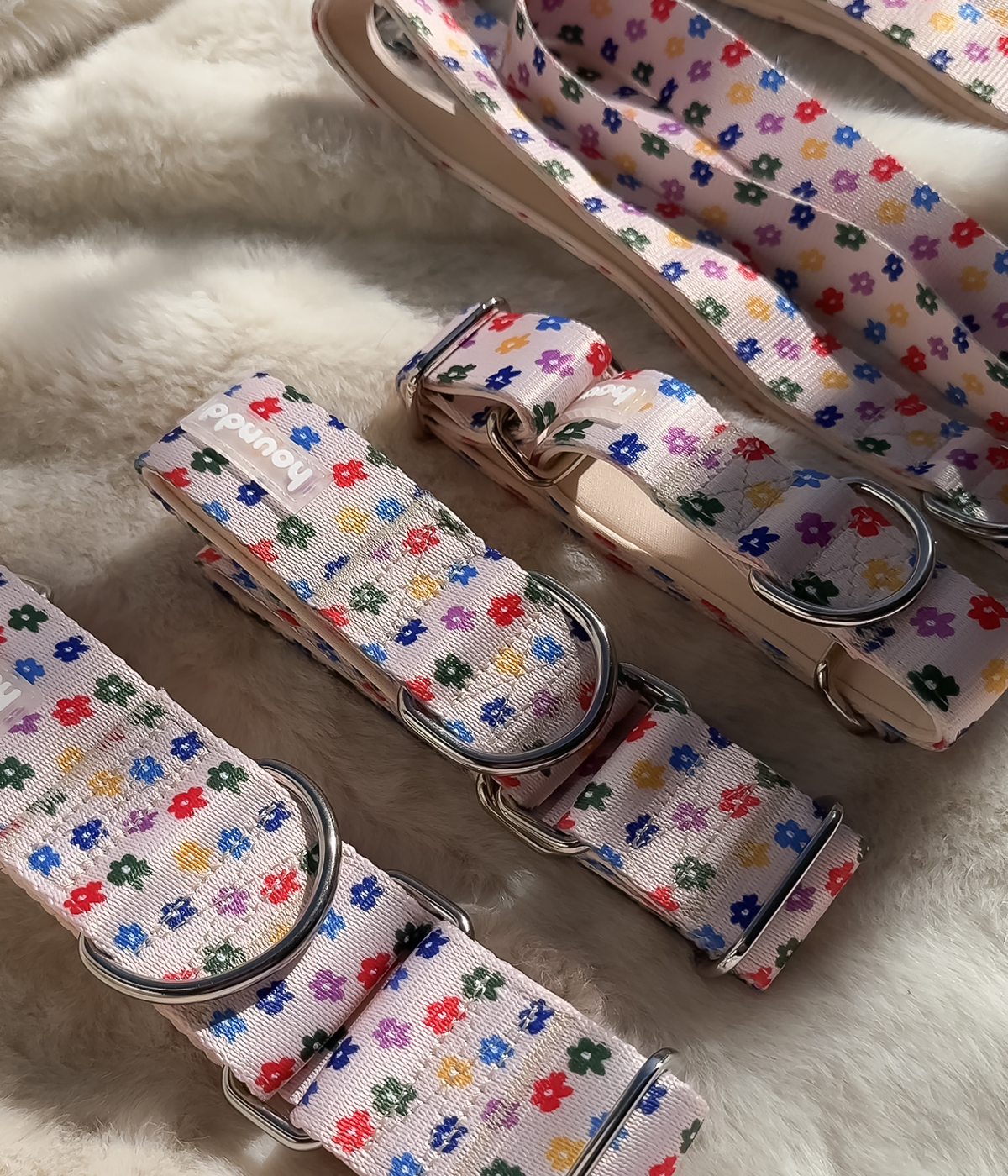 Martingale Collar - Petal Party