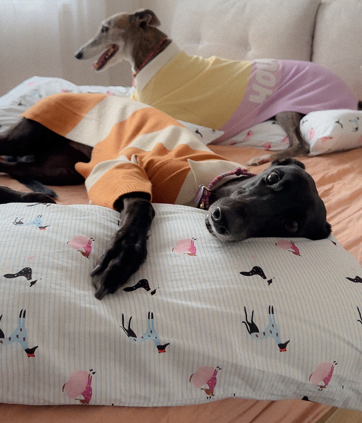 Cotton Pillowcase Set - Houndd Print