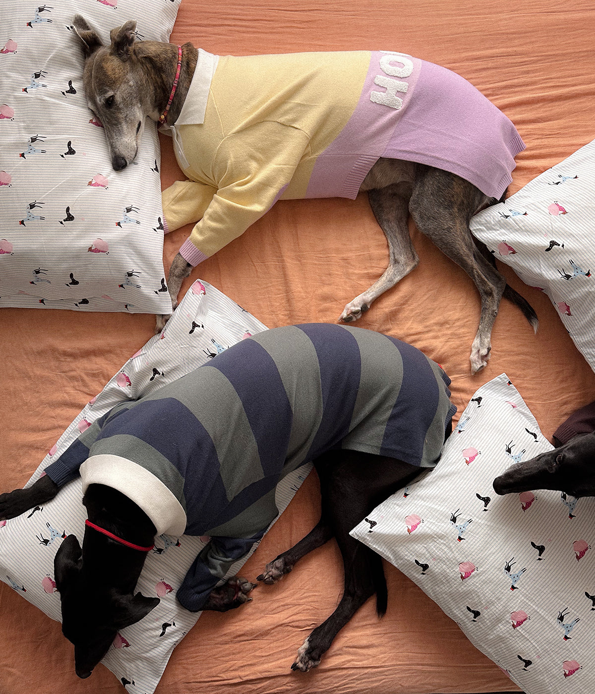 Cotton Pillowcase Set - Houndd Print