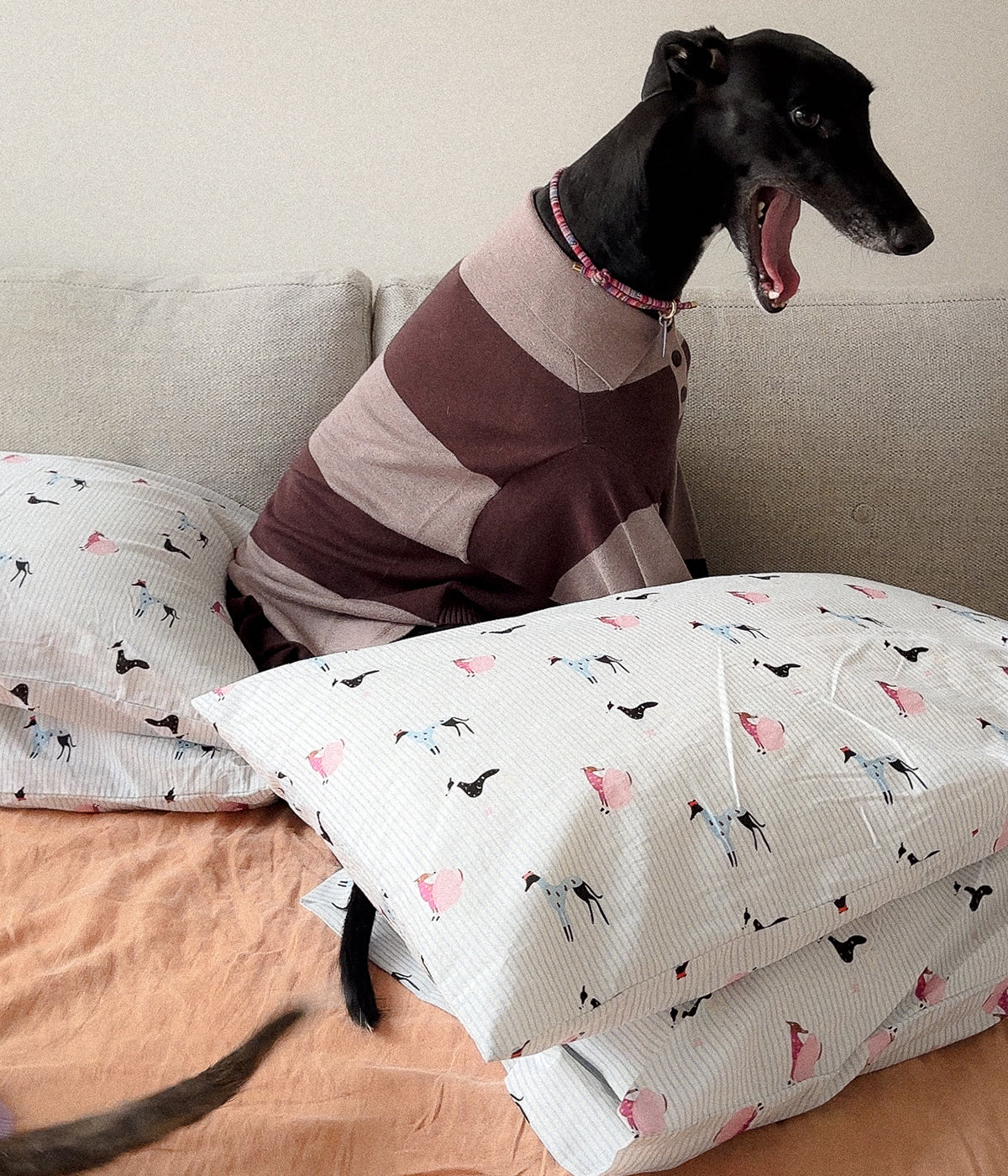 Cotton Pillowcase Set - Houndd Print