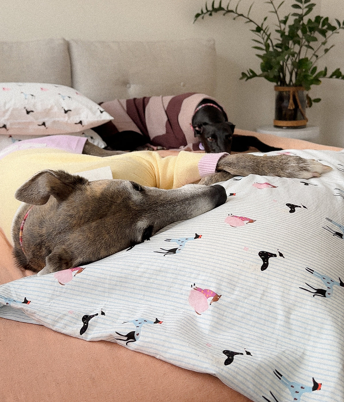 Cotton Pillowcase Set - Houndd Print