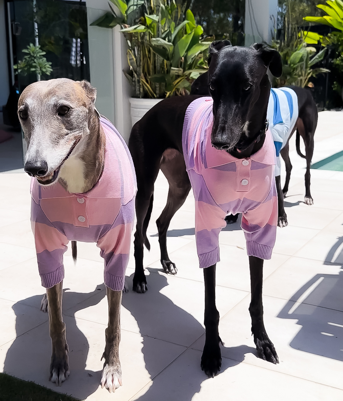 Polo Crop Top - Dreamhouse Pink