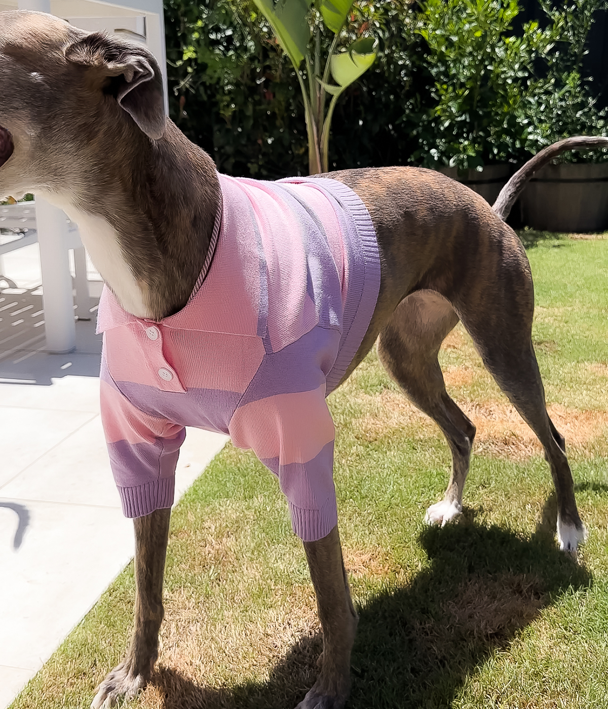 Polo Crop Top - Dreamhouse Pink